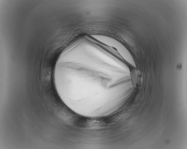 X0000089950315200707271846