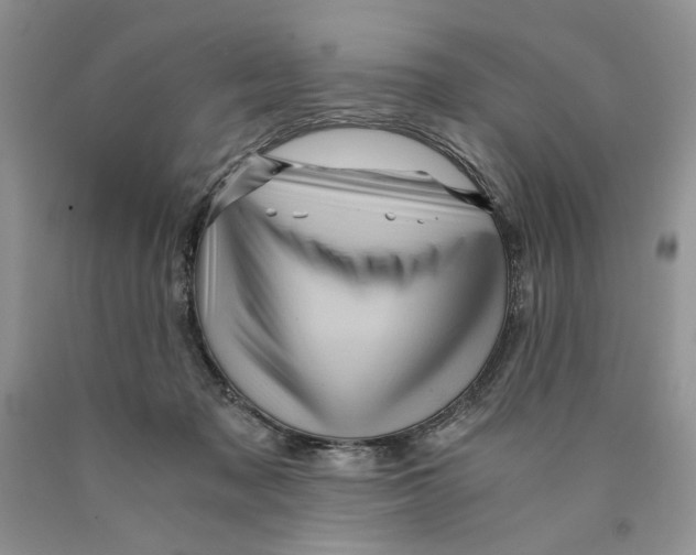 X0000089950317200707271846
