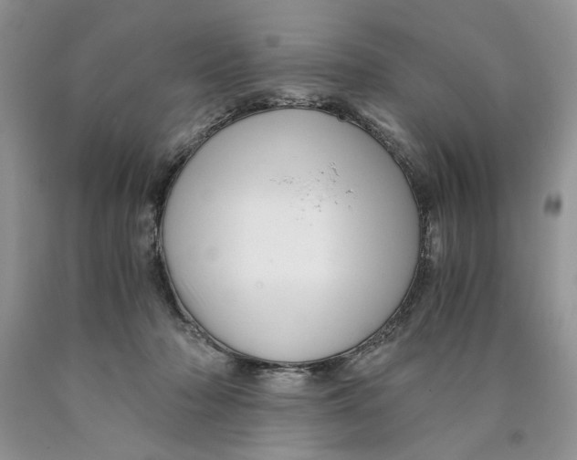 X0000089950318200707271846