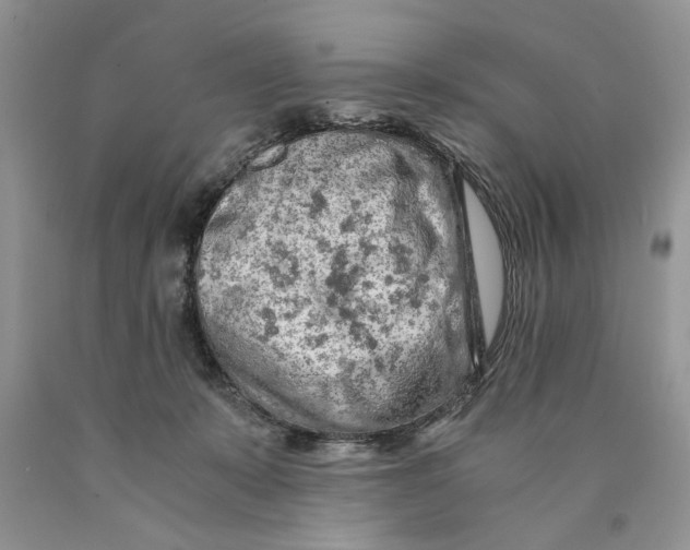 X0000089950319200707271846