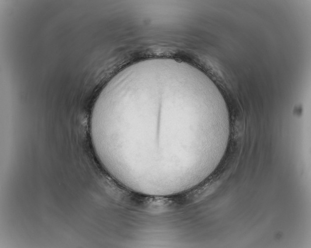 X0000089950321200707271845