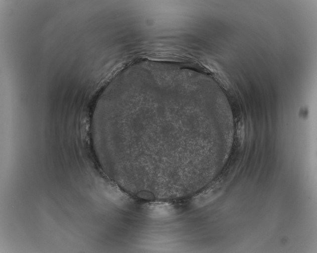 X0000089950322200707271845