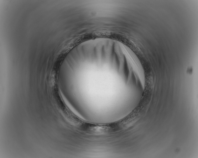 X0000089950323200707271845