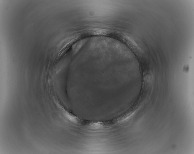 X0000089950325200707271845