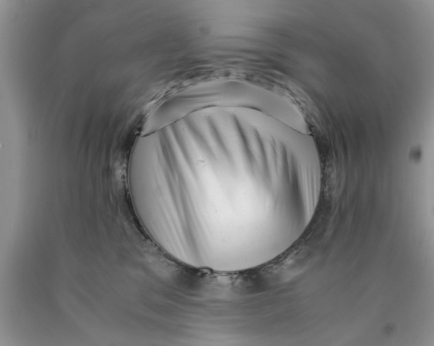 X0000089950329200707271845