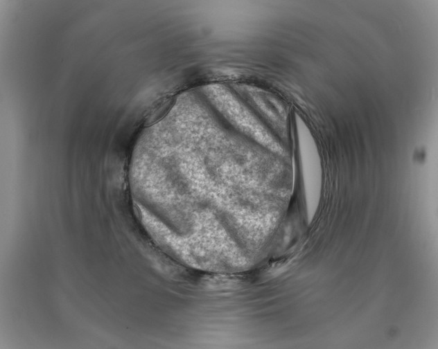 X0000089950331200707271845