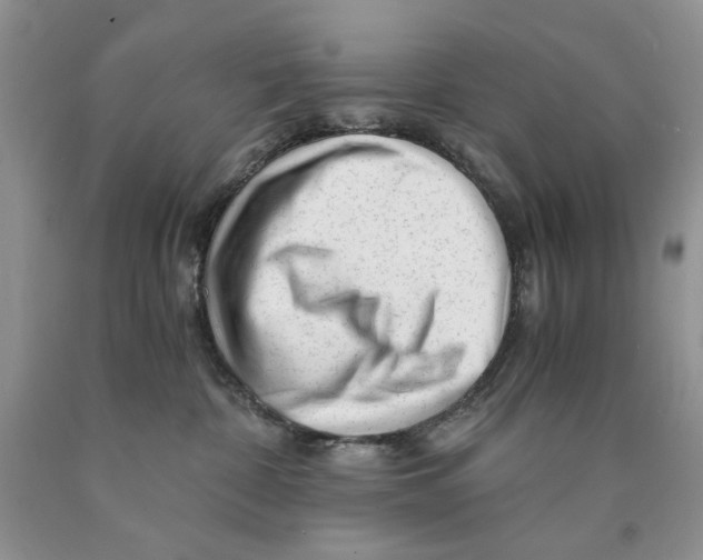 X0000089950332200707271845