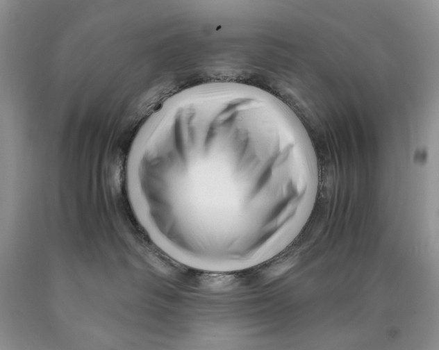 X0000089950334200707271845