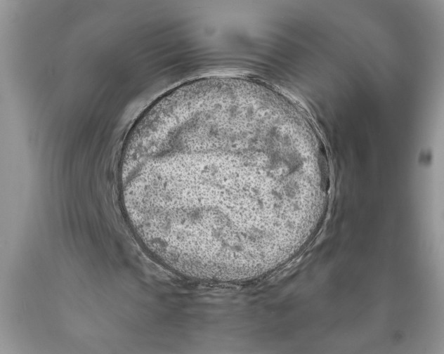 X0000089950337200707271845