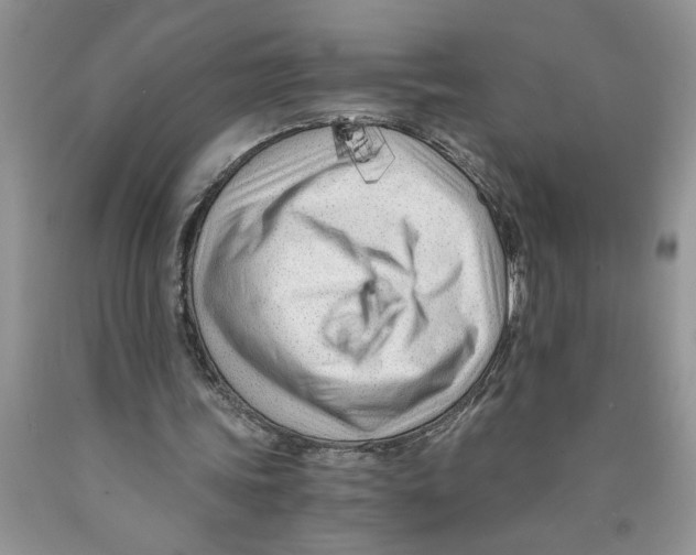 X0000089950339200707271845