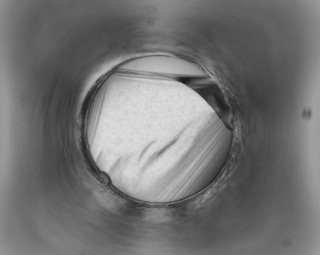 X0000089950342200707271845