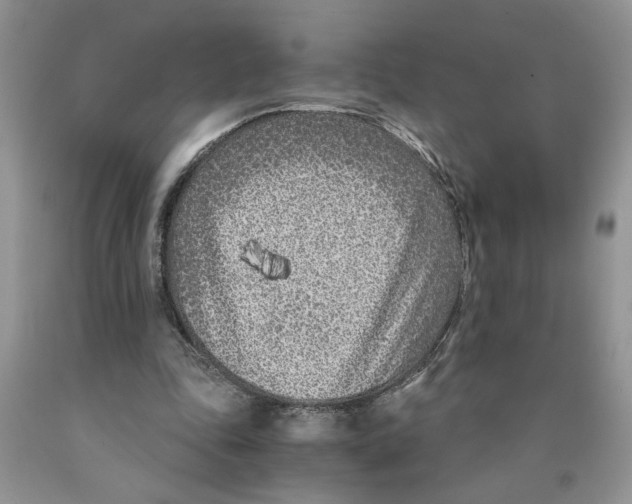 X0000089950343200707271845