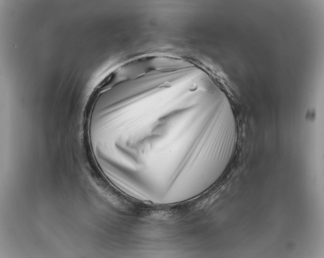 X0000089950344200707271845