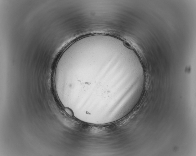X0000089950346200707271845