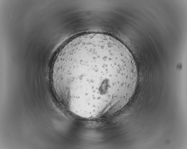 X0000089950347200707271845