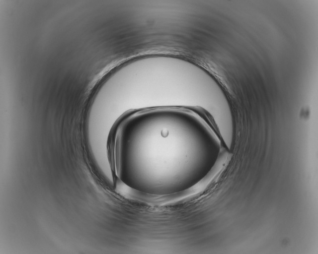 X0000089950348200707271845