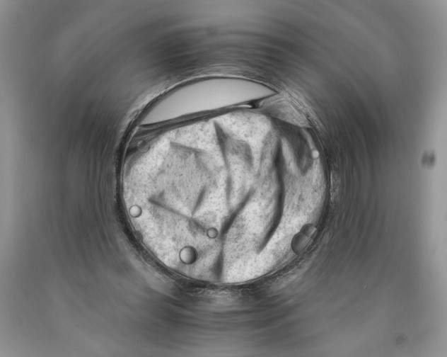 X0000089950349200707271845