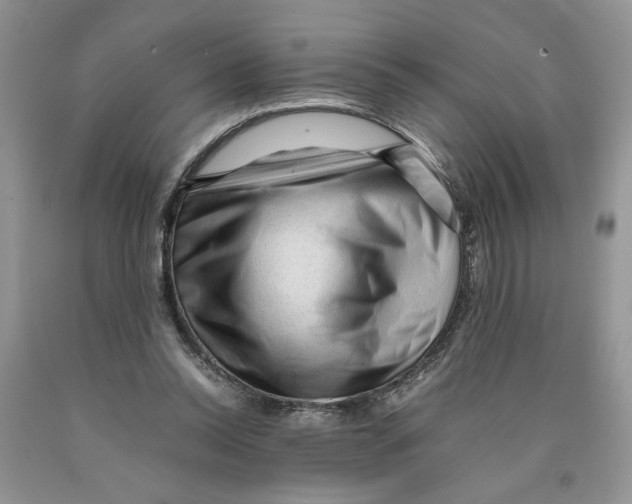 X0000089950350200707271845