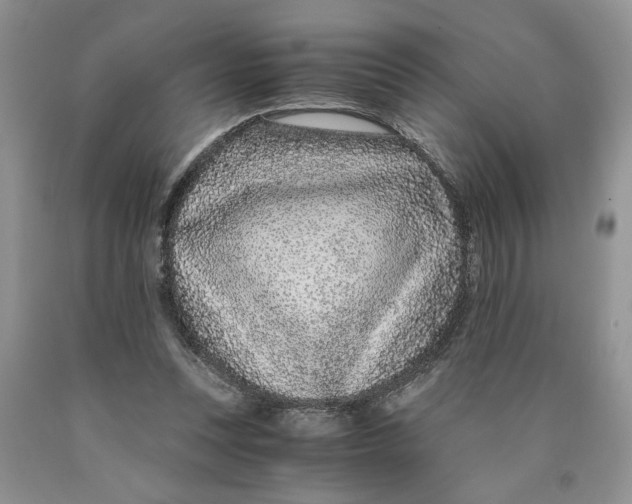 X0000089950351200707271845