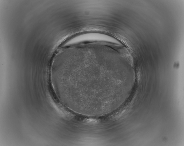 X0000089950352200707271845