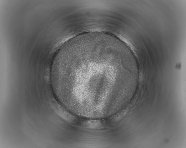 X0000089950353200707271845