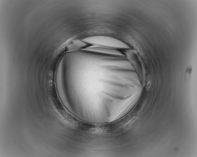 X0000089950356200707271845