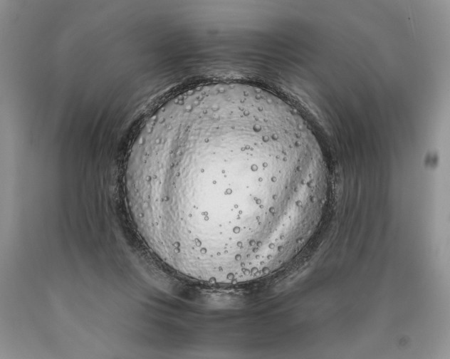 X0000089950359200707271845