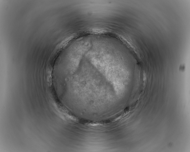 X0000089950360200707271845