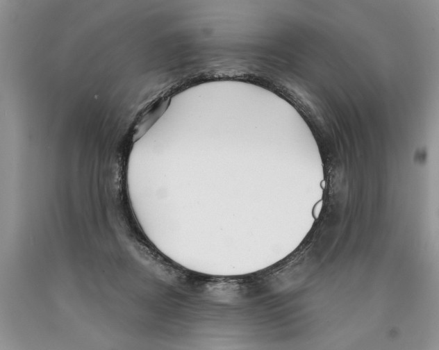 X0000089950362200707271845