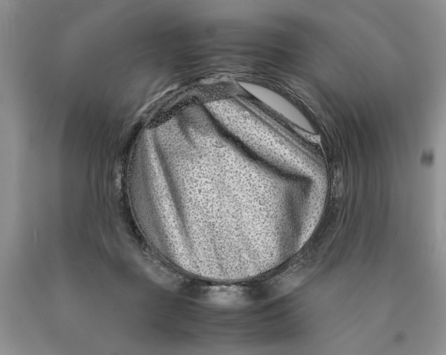 X0000089950363200707271845