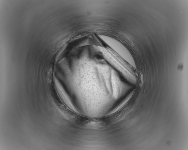 X0000089950364200707271845