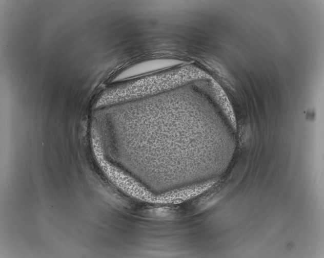 X0000089950365200707271845