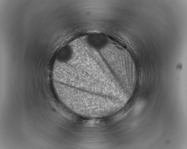 X0000089950366200707271845