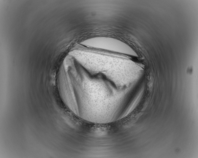 X0000089950368200707271845