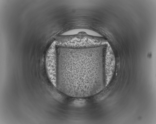 X0000089950369200707271845