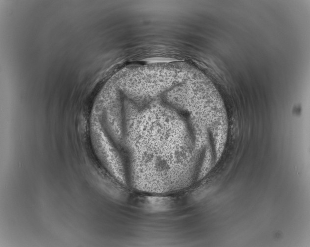 X0000089950371200707271845
