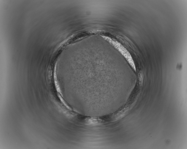 X0000089950372200707271845