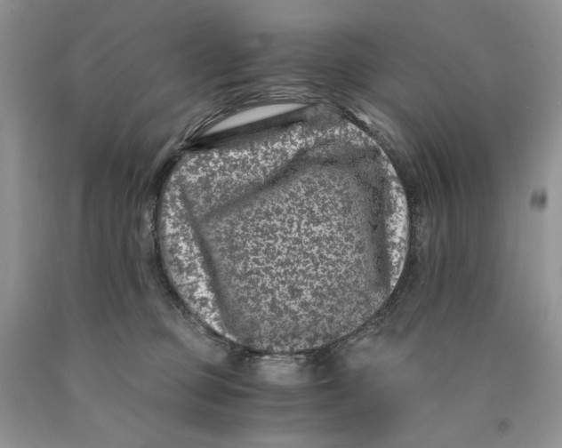 X0000089950373200707271845