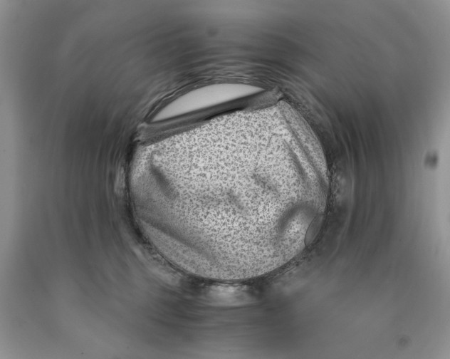 X0000089950375200707271845