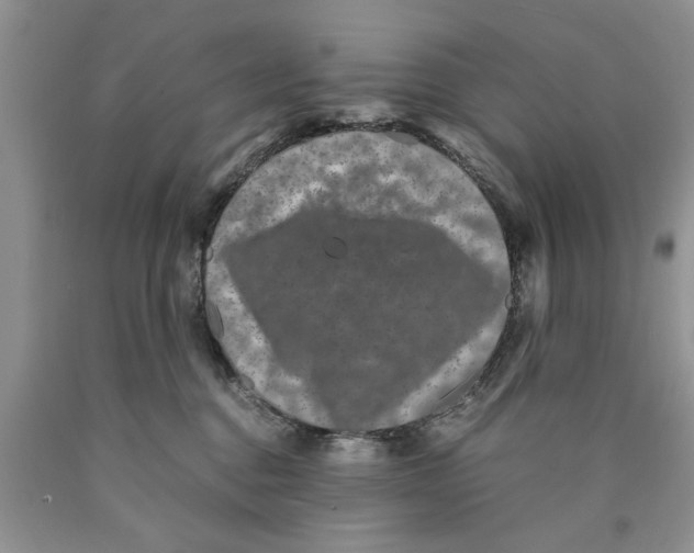X0000089950376200707271845