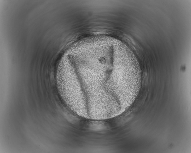 X0000089950377200707271845
