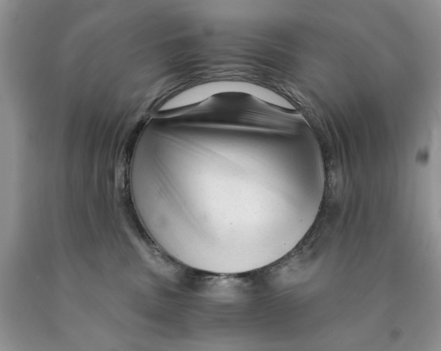 X0000089950379200707271845
