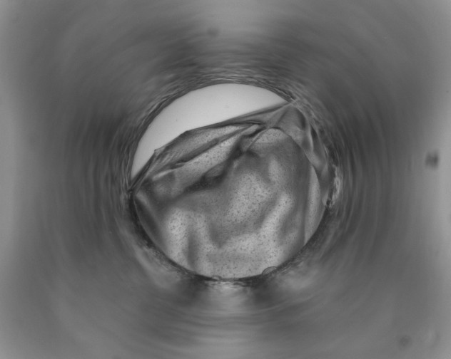 X0000089950380200707271845