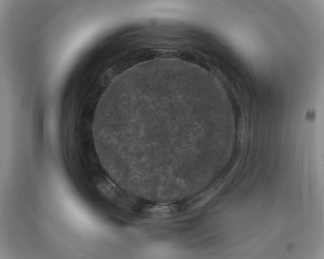 X0000089950383200707271845