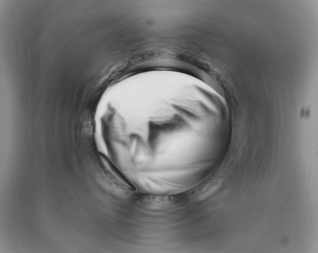 X0000089950384200707271845