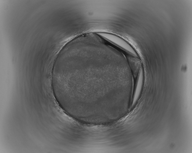 X0000089950385200707271845