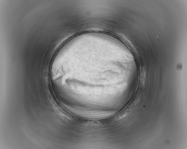 X0000089950386200707271845