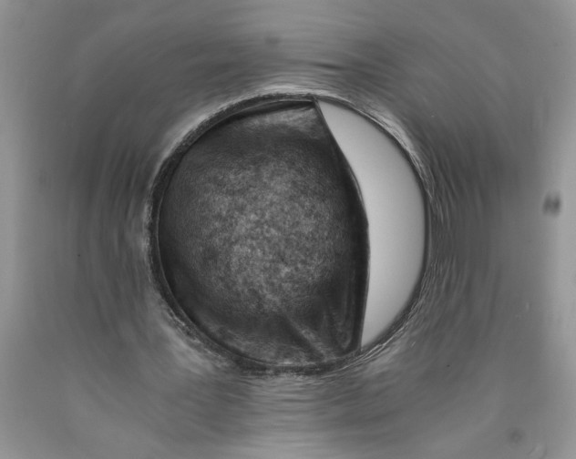 X0000089950387200707271845