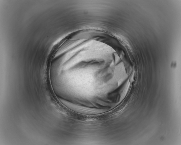 X0000089950388200707271845