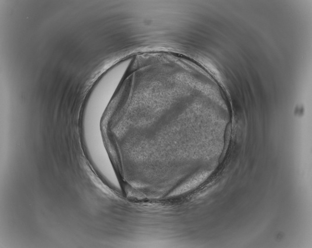 X0000089950389200707271845